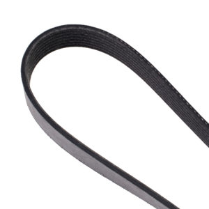 Fan Belt – 7PK1750 – Nissan Navara D23T