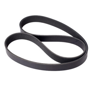 Fan Belt – 7PK1125 – Nissan Almera N17