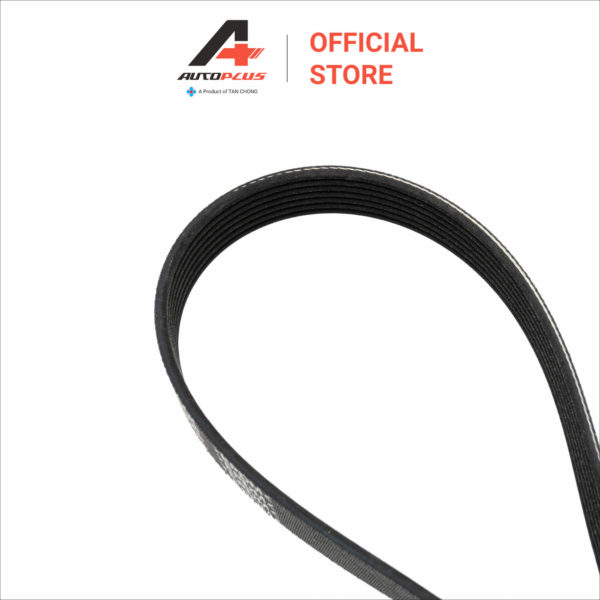 Fan Belt - 7PK1125 - Nissan Almera N17 - Image 3