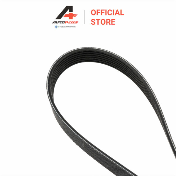 Fan Belt - 7PK1750 - Nissan Navara D23T - Image 2