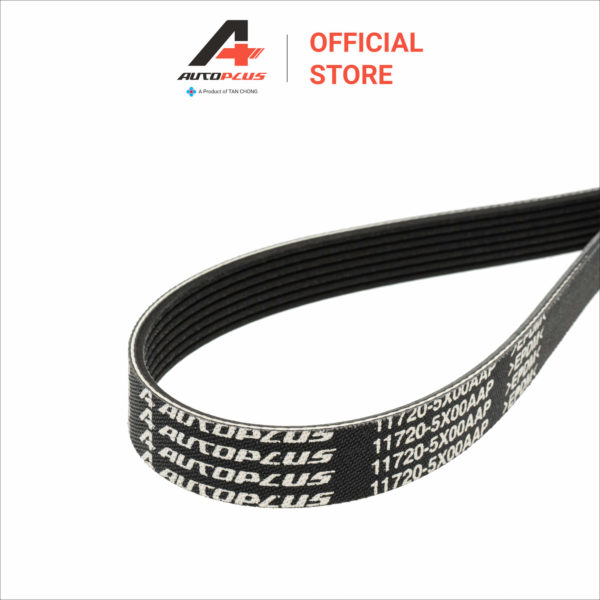 Fan Belt - 7PK1750 - Nissan Navara D23T - Image 3