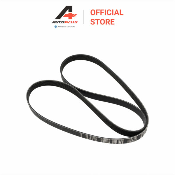 Fan Belt - 7PK1750 - Nissan Navara D23T - Image 4
