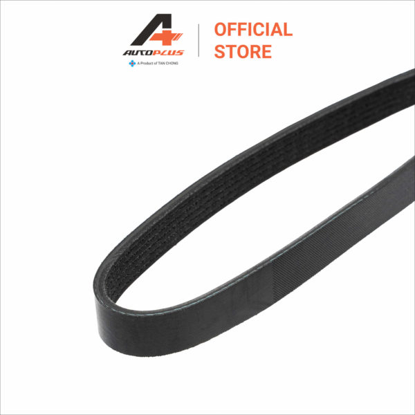 Fan Belt - 6PK2247 - Nissan X-Trail T30 - Image 3
