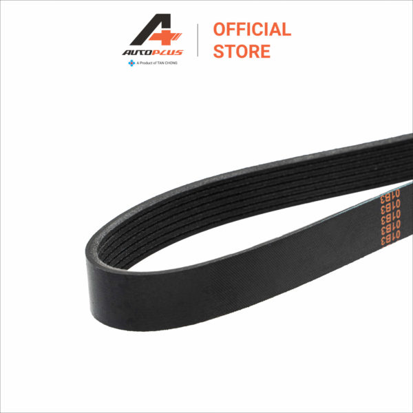 Fan Belt - 7PK1125 - Nissan Almera N17L - Image 3