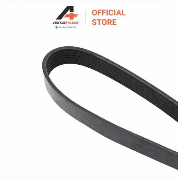 Fan Belt - 7PK1260 - Nissan Navara NP300 D40T MT - Image 2