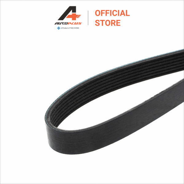 Fan Belt - 7PK1260 - Nissan Navara NP300 D40T MT - Image 3