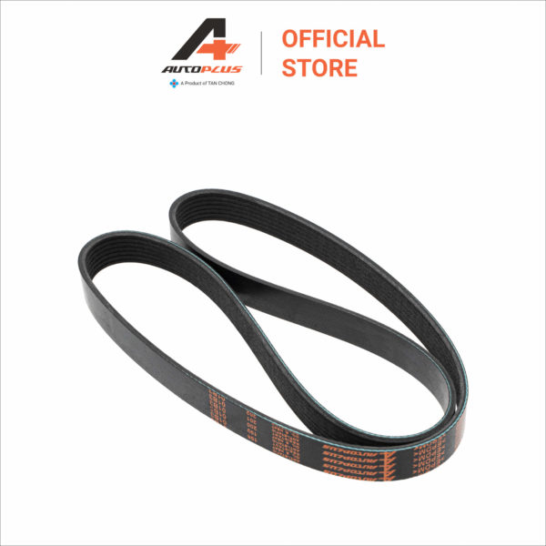 Fan Belt - 7PK1260 - Nissan Navara NP300 D40T MT - Image 4