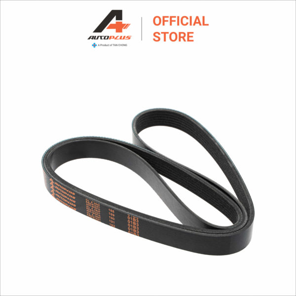 Fan Belt - 7PK1701 - Nissan Teana J32L 2.5 / Murano Z51 - Image 4