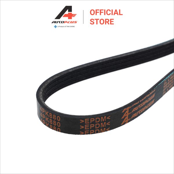 Fan Belt - 4PK880 - Nissan Teana J32L 2.0 - Image 4