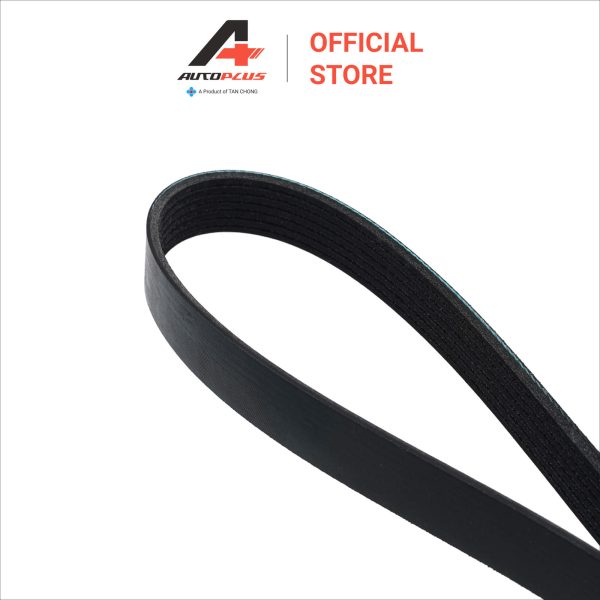 Fan Belt - 7PK1750 - Nissan Navara NP300 D23 - Image 3