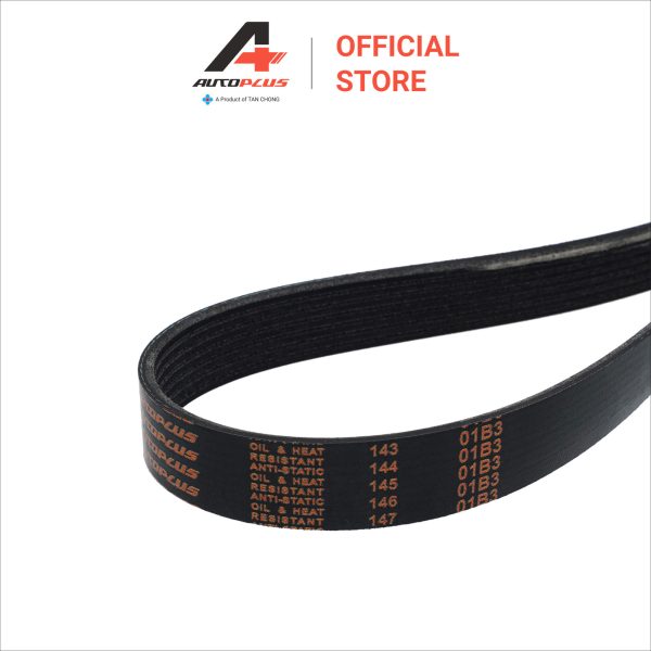 Fan Belt - 7PK1750 - Nissan Navara NP300 D23 - Image 4